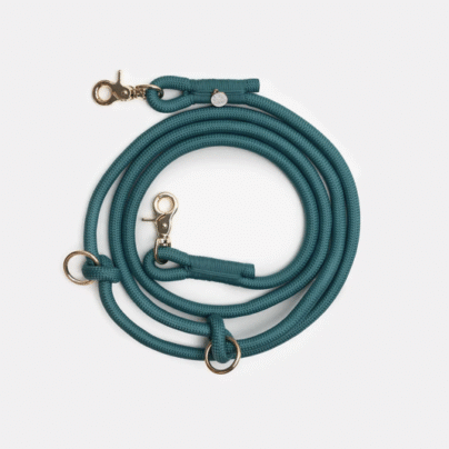 Laisse mains-libres Bleu
