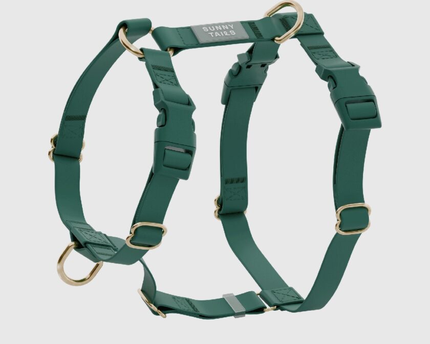 Harnais Cloud Lite waterproof sunny tails - Emeraude