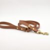 Laisse en Biothane Camel