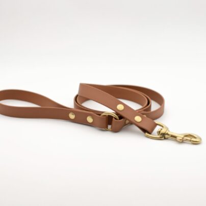 Laisse en Biothane Camel