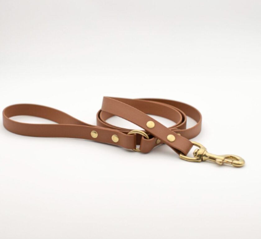 Laisse en Biothane Camel