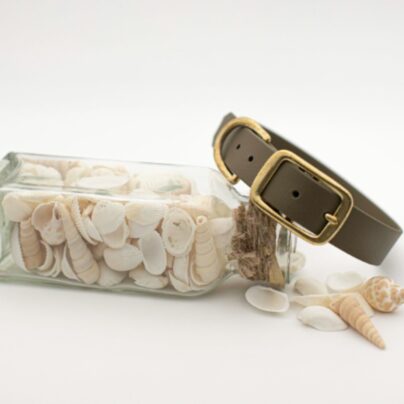 Collier en Biothane pine