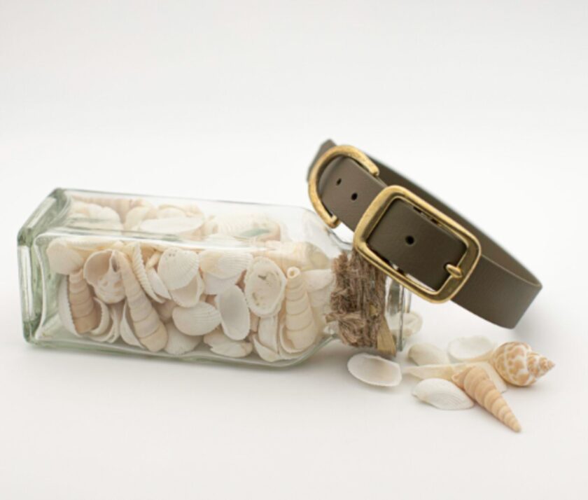 Collier en Biothane pine