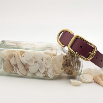 Collier en Biothane Bordeaux
