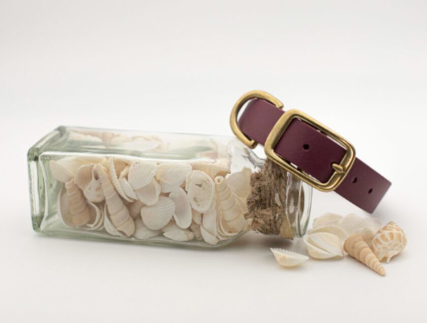 Collier en Biothane Bordeaux