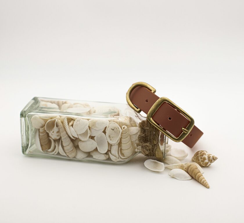 Collier en Biothane Camel