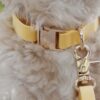 Le Collier cloud waterproof sunny tails - yellow