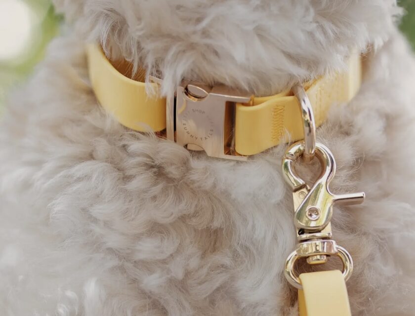 Le Collier cloud waterproof sunny tails - yellow