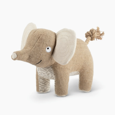 IT l‘élephant