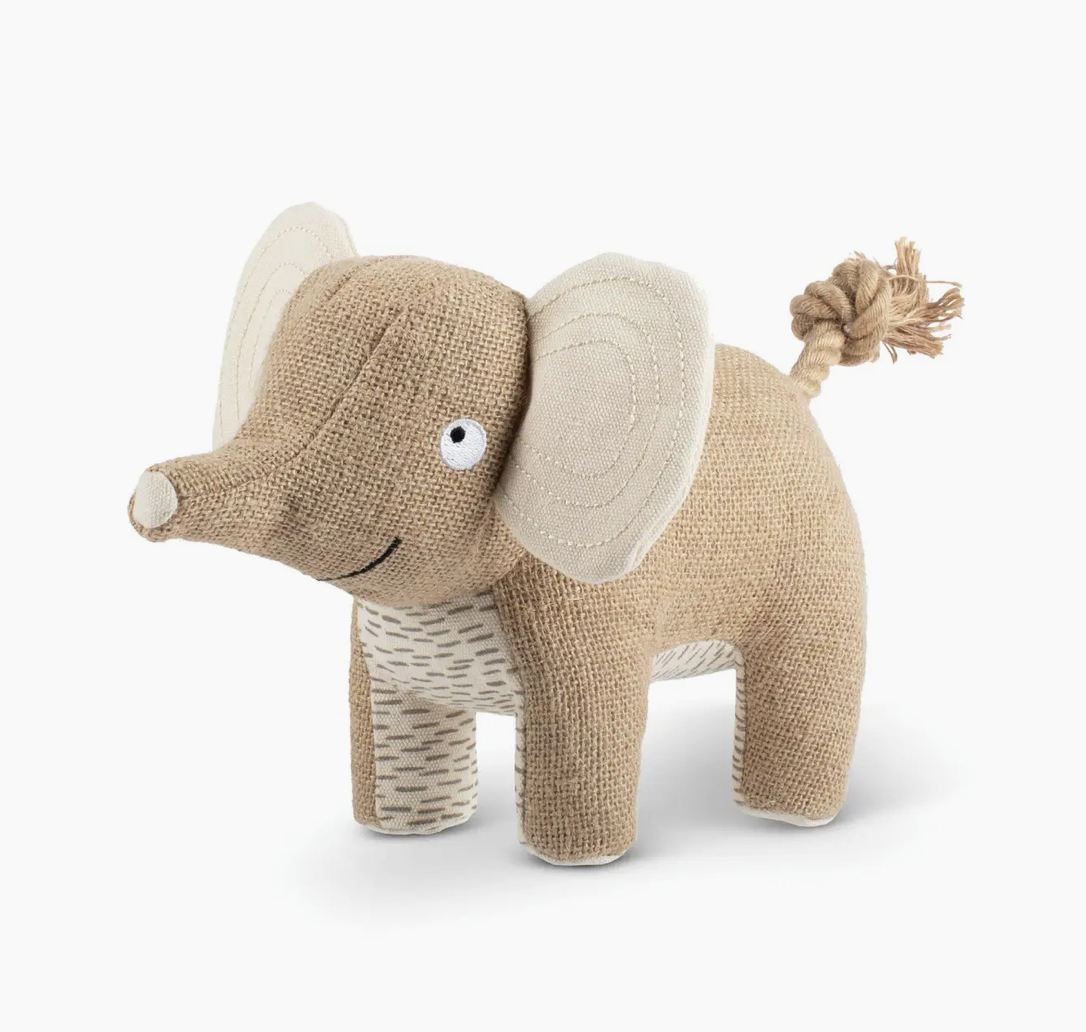 IT l‘élephant