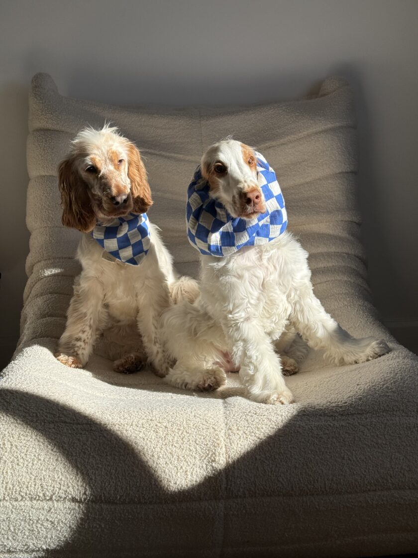 img_7186 Snood Buddy Bud