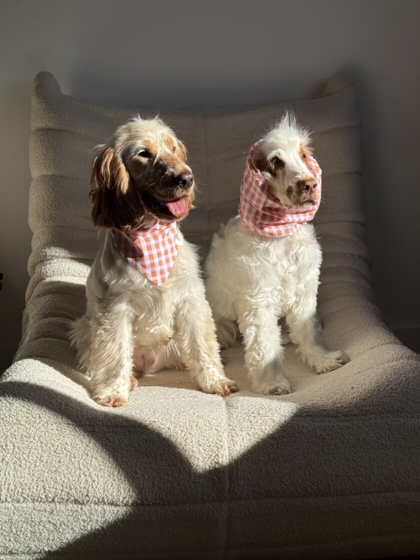 img_7190-2 Snood Buddy Pink