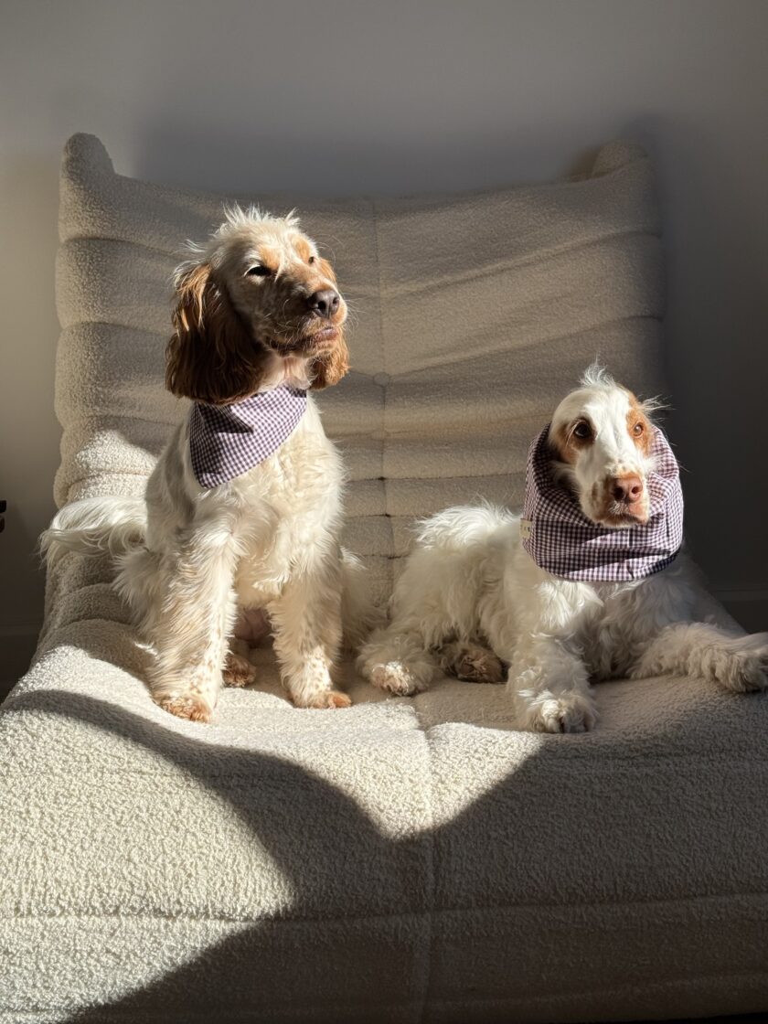 img_7193-2 Snood Buddy Vichy