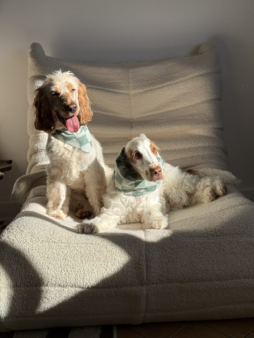 img_7198-2 Snood Buddy checkers