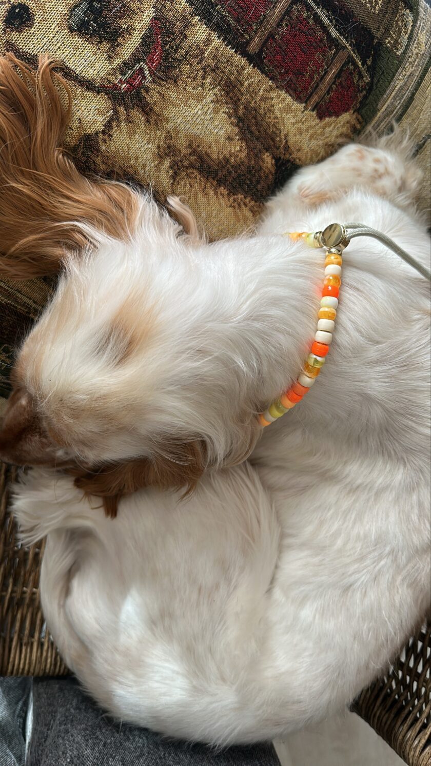 Porte Médaille Sea Breeze