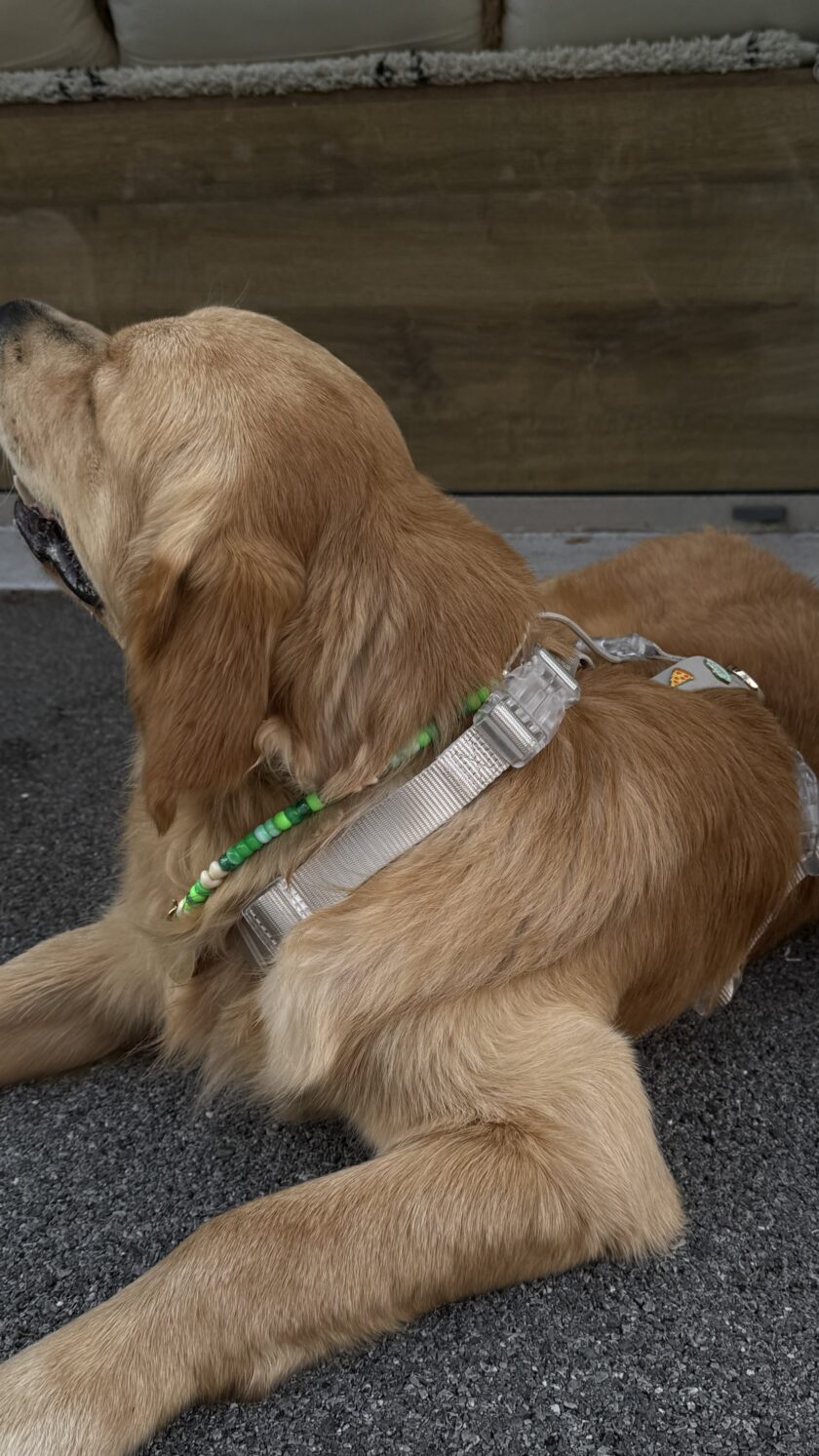 Porte Médaille Coastal Spirit