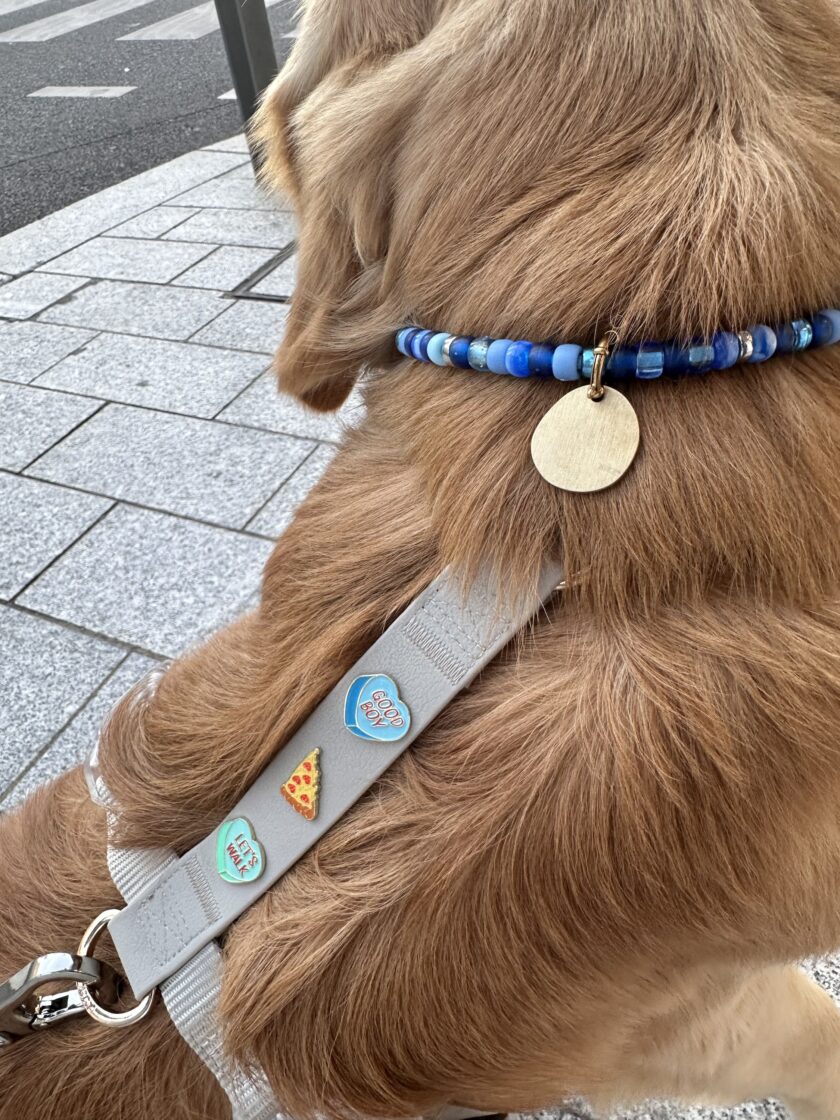 img_5992-2 Porte Médaille Océan Walk