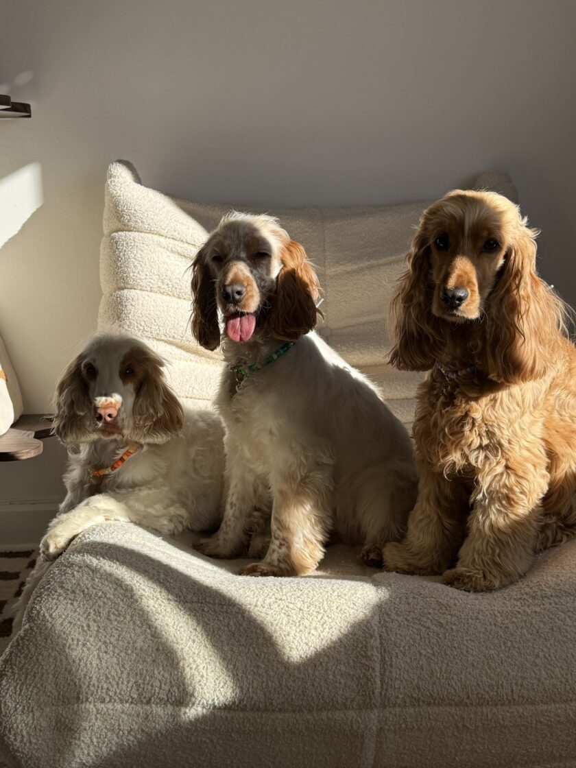 Porte Médaille Sea Breeze