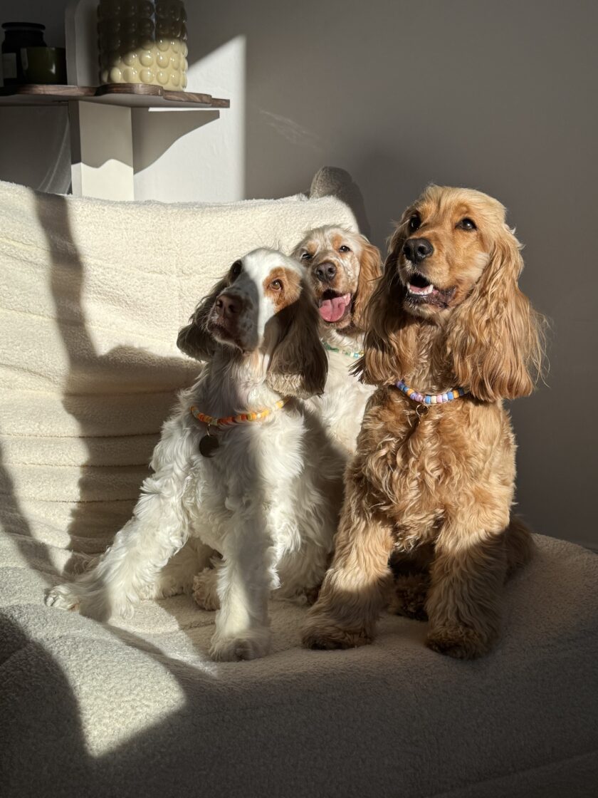 Porte Médaille Sea Breeze