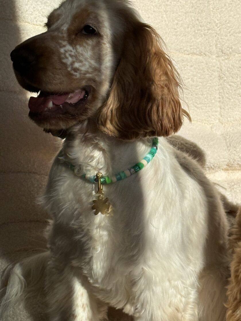 Porte Médaille Salty Soul