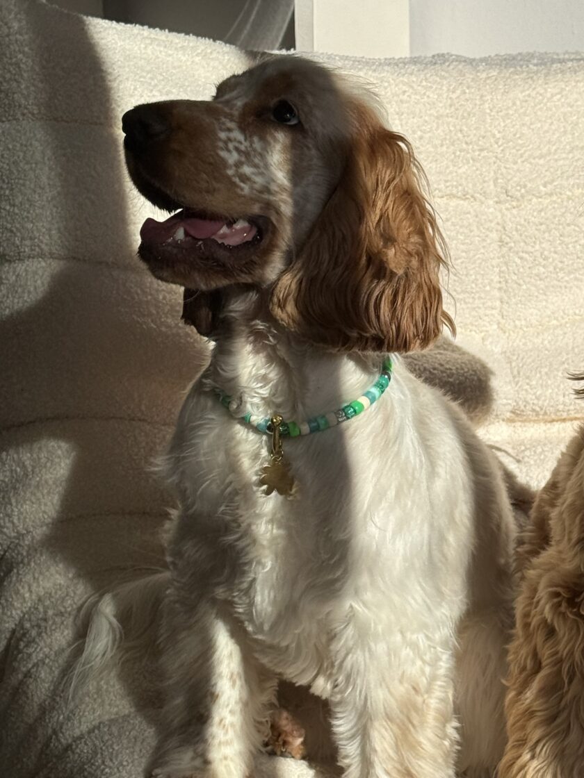 Porte Médaille Salty Soul