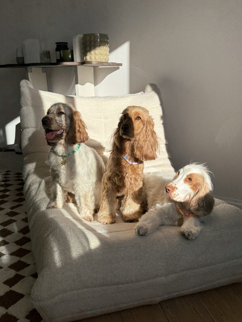 img_7219-3 Porte Médaille Sun Chaser