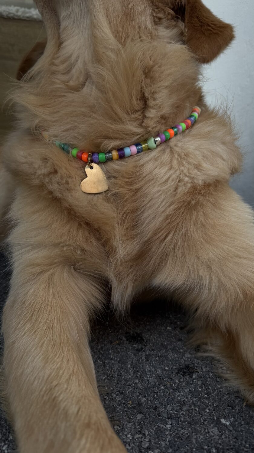 Porte Médaille Wave Rider