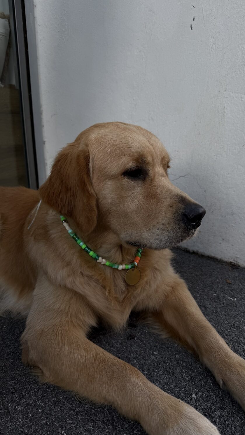 Porte Médaille Coastal Spirit