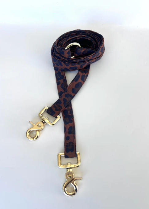 Laisse multi-positions leo