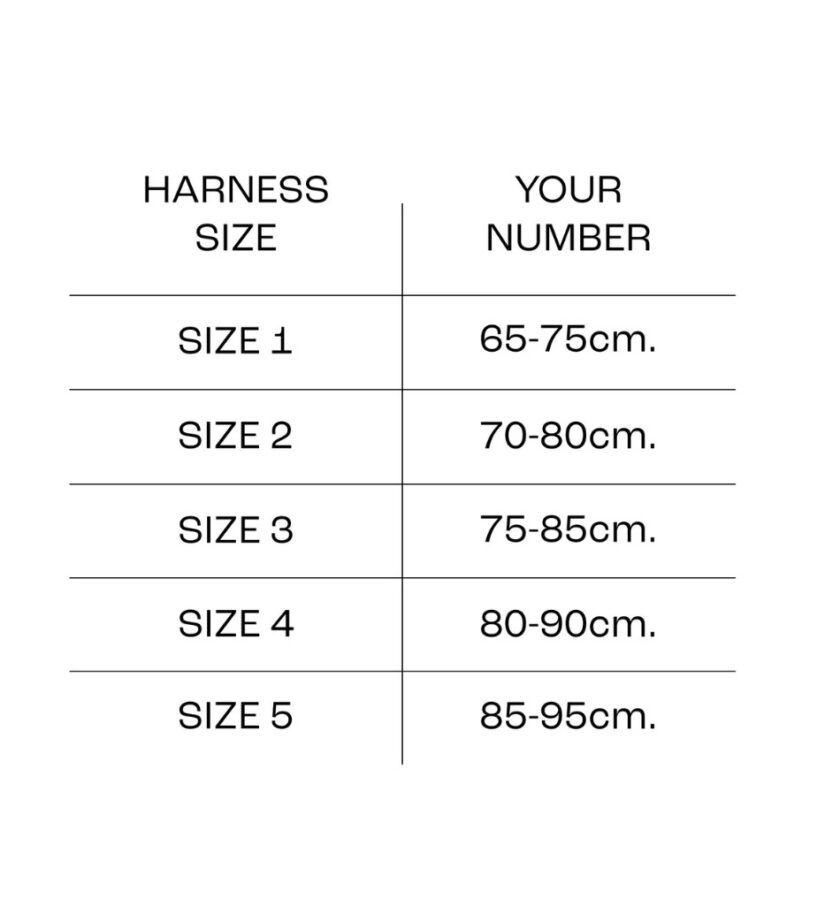 le harnais baby blue