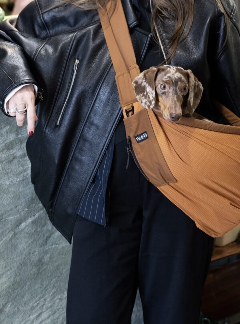 screenshot-590 sac de transport terracotta