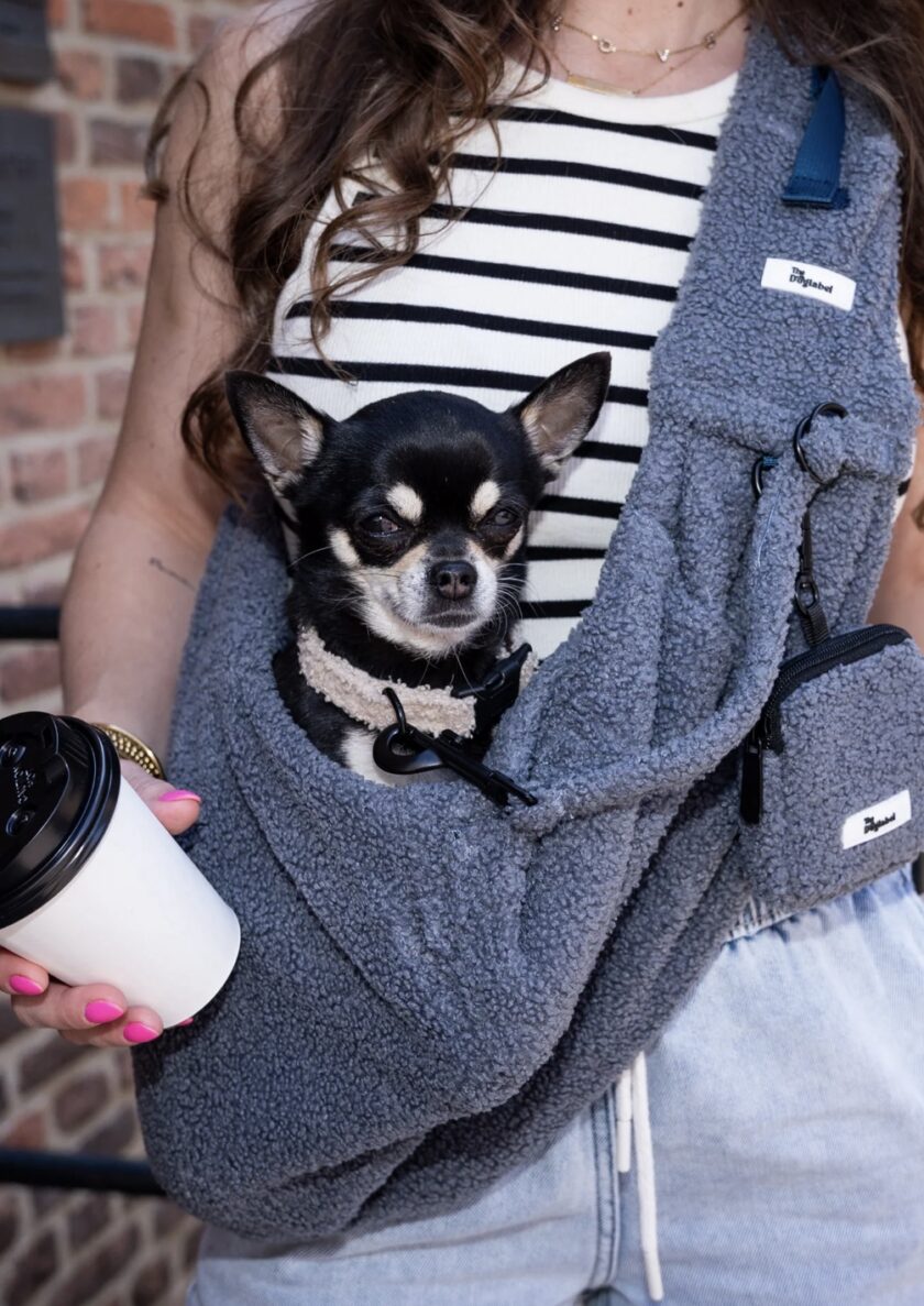 sac de transport teddy gris