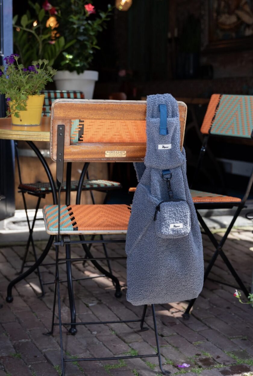 sac de transport teddy gris