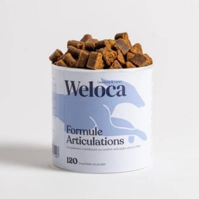 Complément articulations