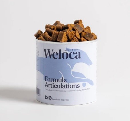 Complément articulations