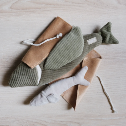 Capture d’écran 2026-02-24 à 10.41.26 Le poisson volant