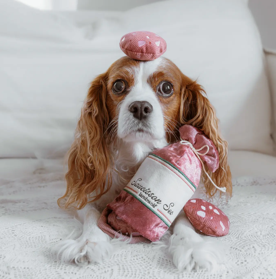 Capture d’écran 2026-02-24 à 10.51.54 Le Saucisson sec