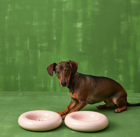 Capture d’écran 2026-02-24 à 11.18.03 Gamelle hot dog Rose