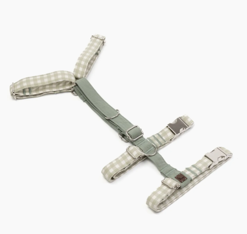 Capture d’écran 2026-02-25 à 16.13.24 Harnais 3 points marieth