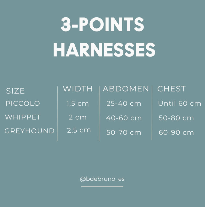 Capture d’écran 2026-02-25 à 16.13.54 Harnais 3 points marieth