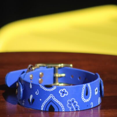Le collier Biothane Bandana