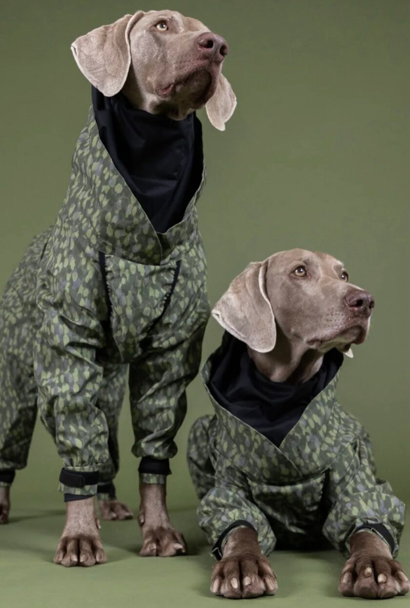 screenshot-627 Combinaison intégrale Green