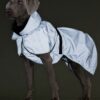 Copie Imperméable réfléchissant pour chien - Green