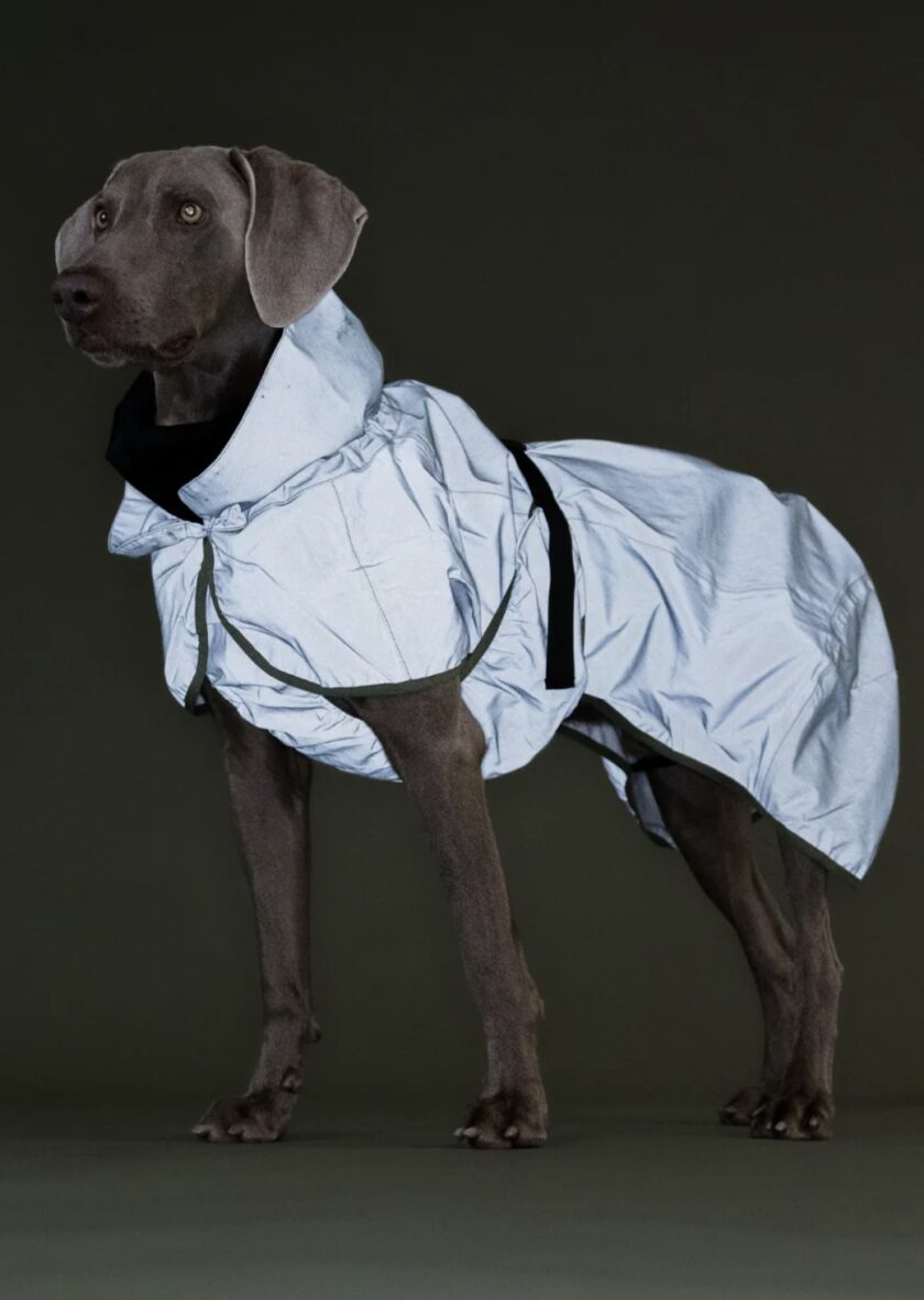 Copie Imperméable réfléchissant pour chien - Green