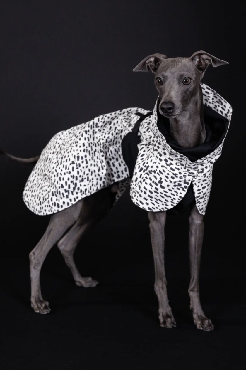 Imperméable réfléchissant pour chien - Léo noir