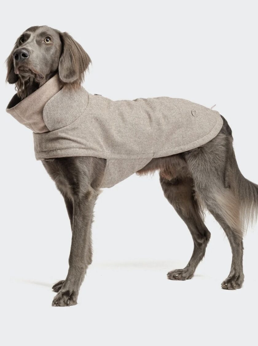 Manteau Brooklyn tweed cream