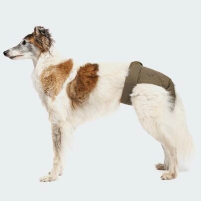 screenshot-645 Culotte menstruelle pour chien