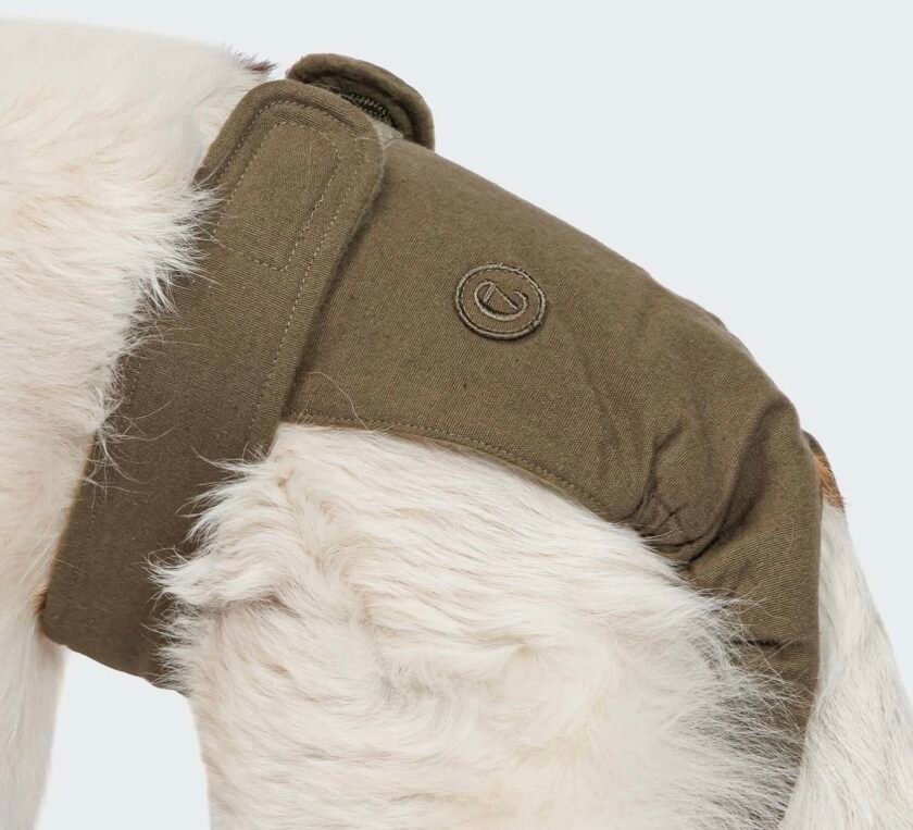 Culotte menstruelle pour chien