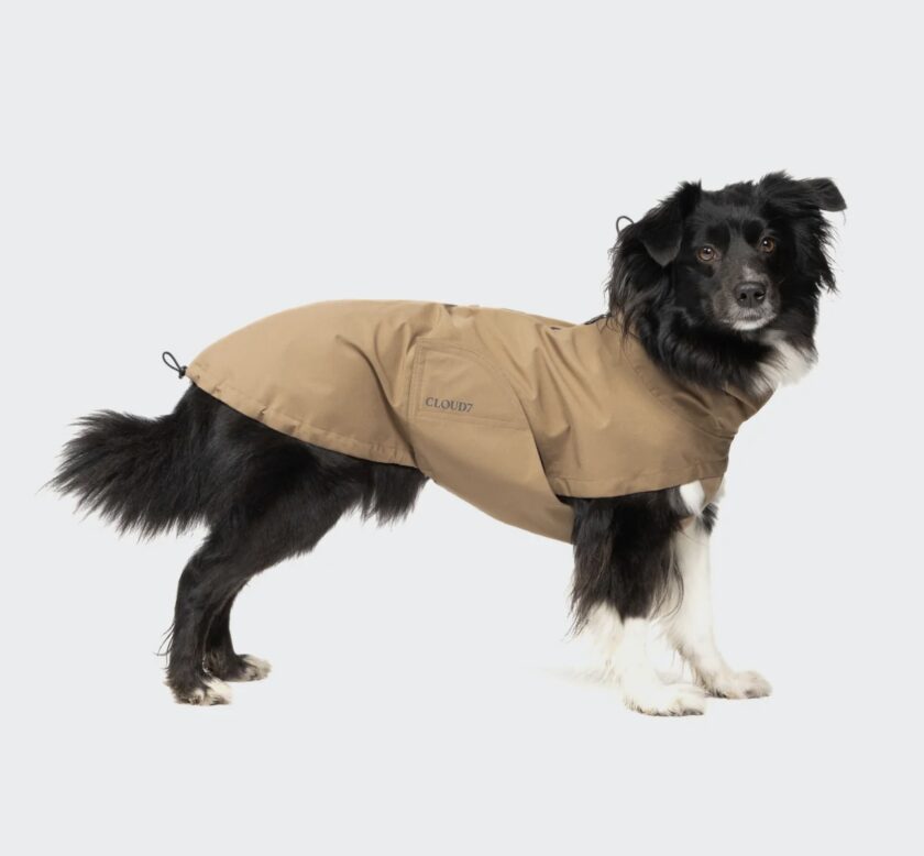 Imperméable Dublin sand