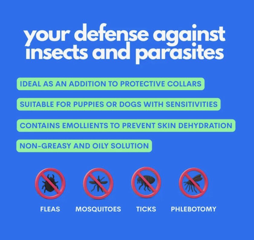 Anti puces et Anti tiques